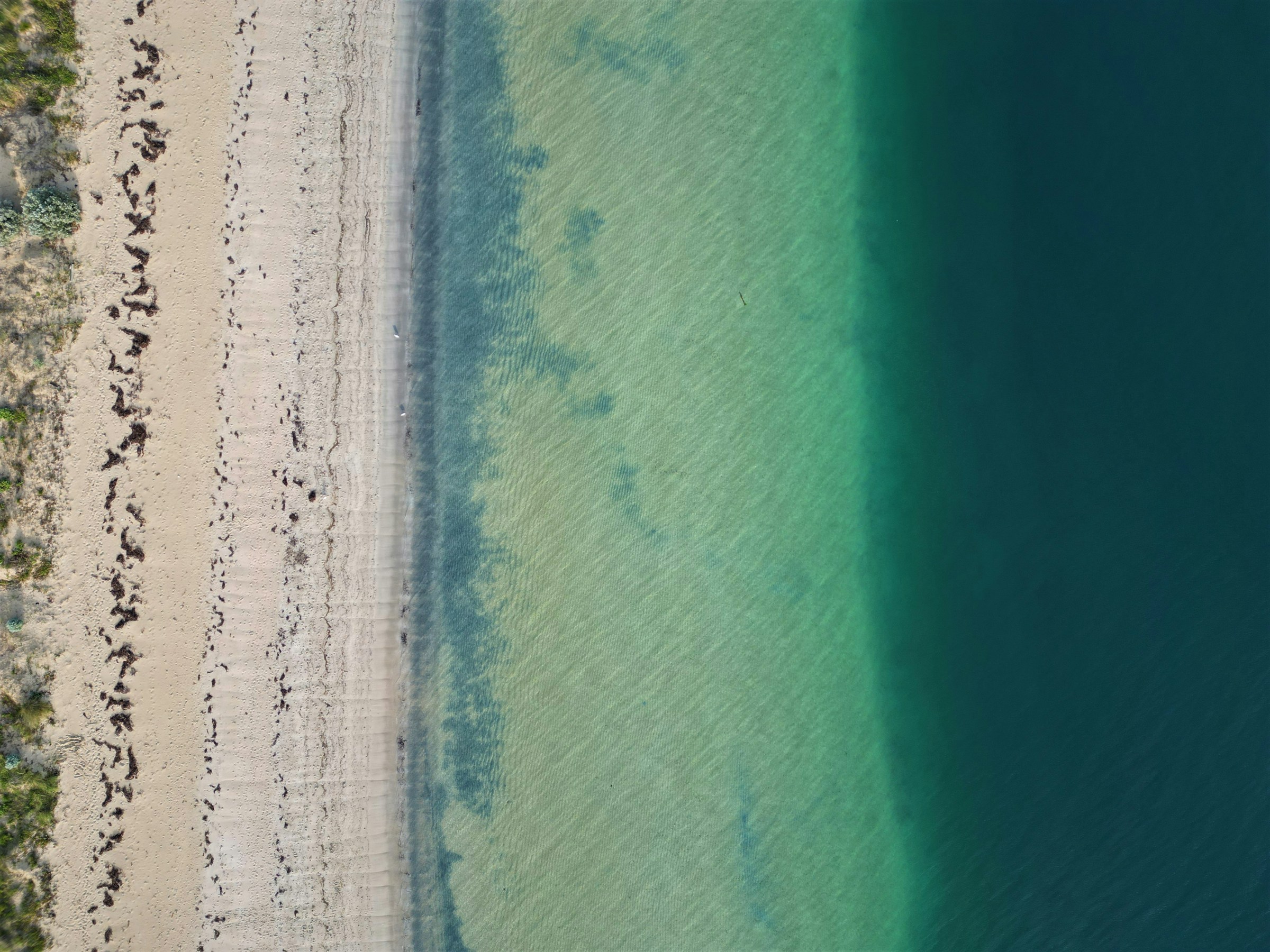 An aerial view of turquoise water meeting the Florida coastline